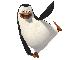 Kowalski de Madagascar